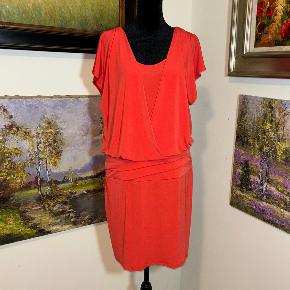 🐠 SANDRA DARREN dress size 12